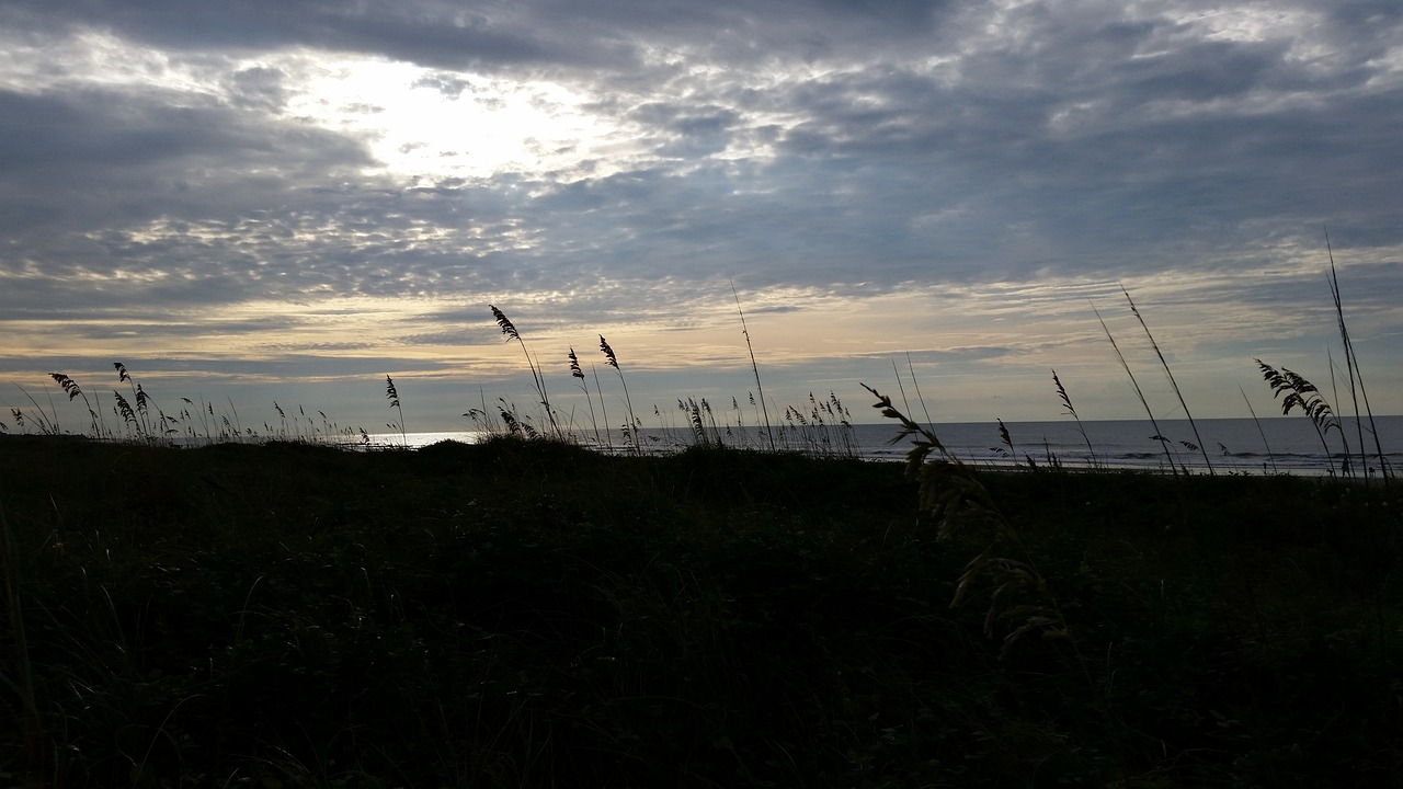 Charleston beaches